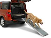 Dog Friendly Element