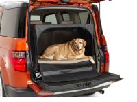 Dog Friendly Element