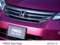 FREED Style Study フロントグリルガーニッシュ