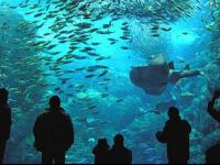 iPhone用アプリケーション スポット情報 画面イメージ