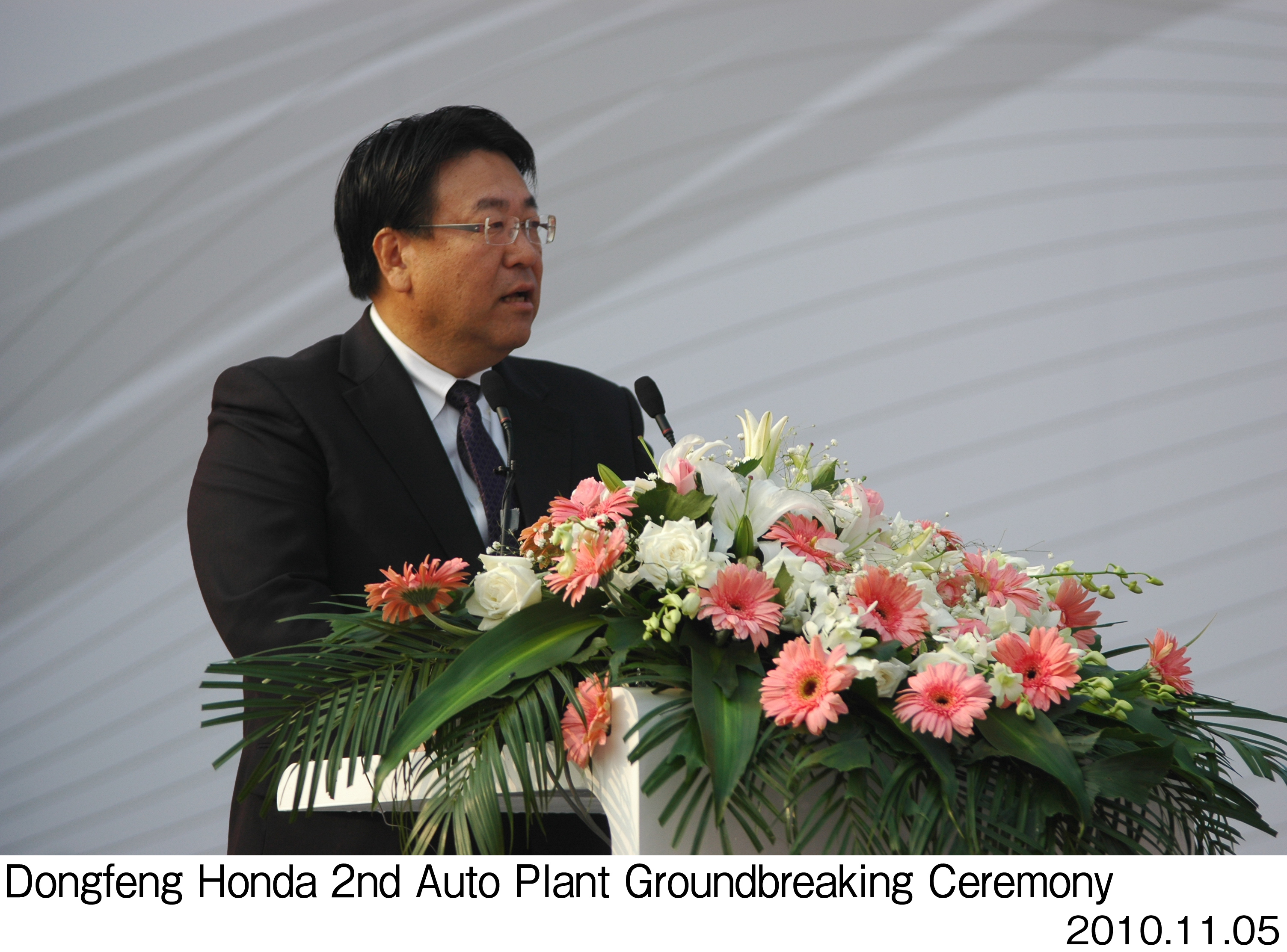 画像・動画ダウンロード