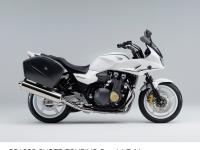 CB1300 SUPER TOURING Special Edition (パールサンビームホワイト)