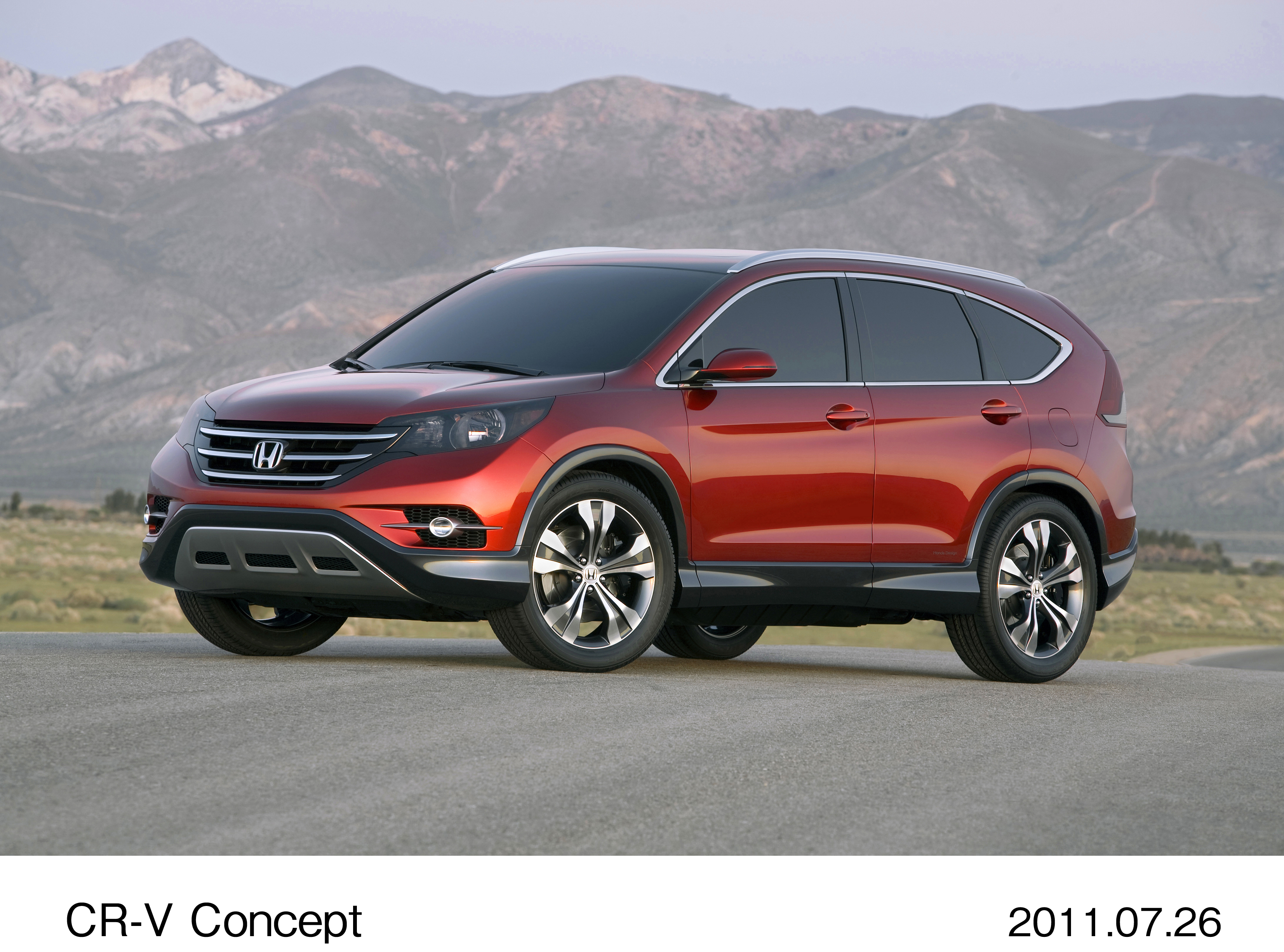 画像・動画ダウンロード