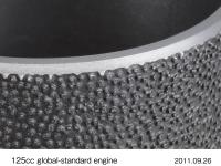 スパイニースリーブ (拡大)