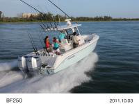 4ストローク船外機 BF250