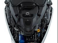 大型4ストローク船外機 BF250