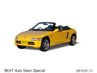 BEAT Auto Salon Special（オートサロンスペシャル ロアスカート装着車）