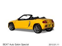 BEAT Auto Salon Special（オートサロンスペシャル ロアスカート装着車）