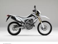 CRF250L（ロスホワイト）