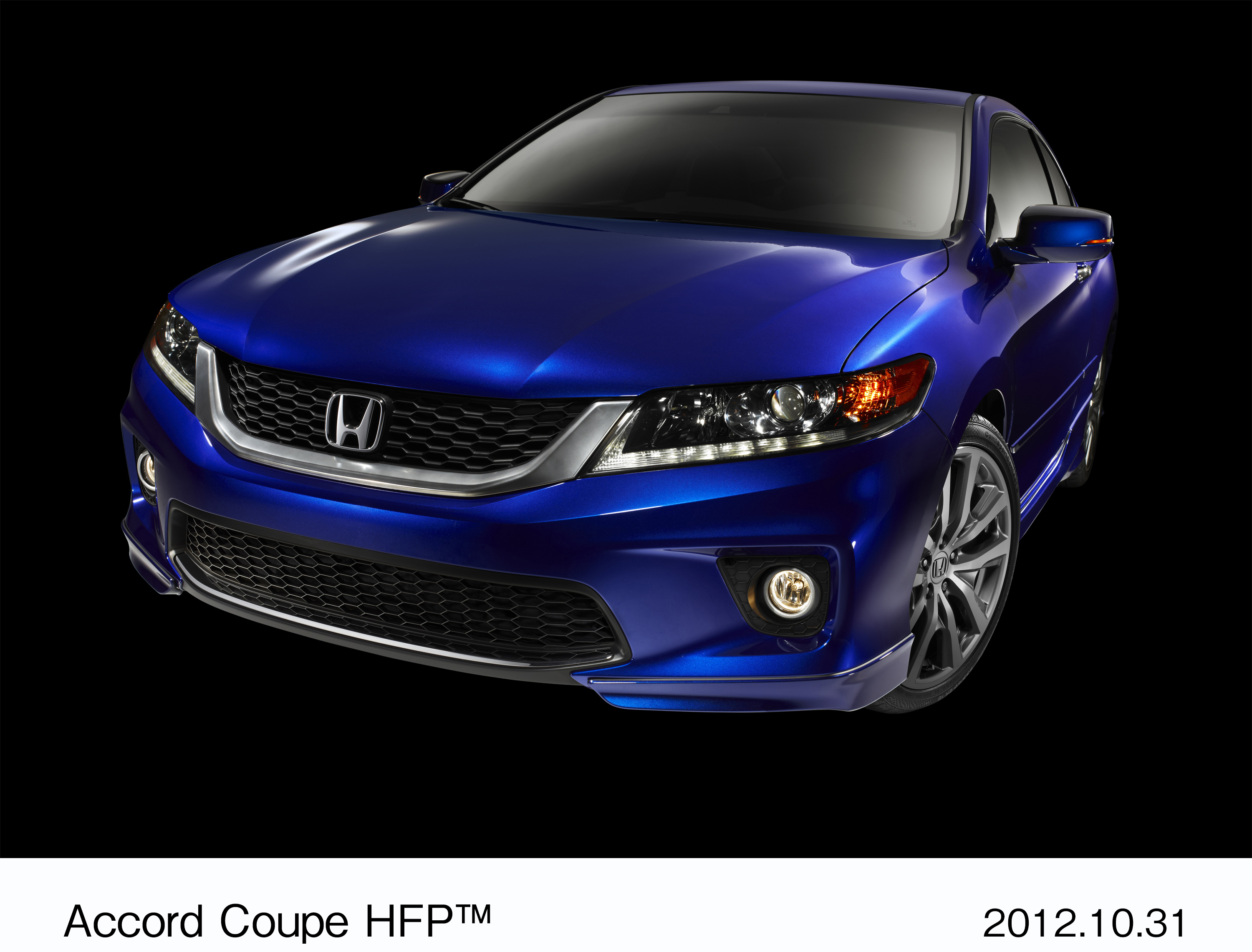 画像・動画ダウンロード