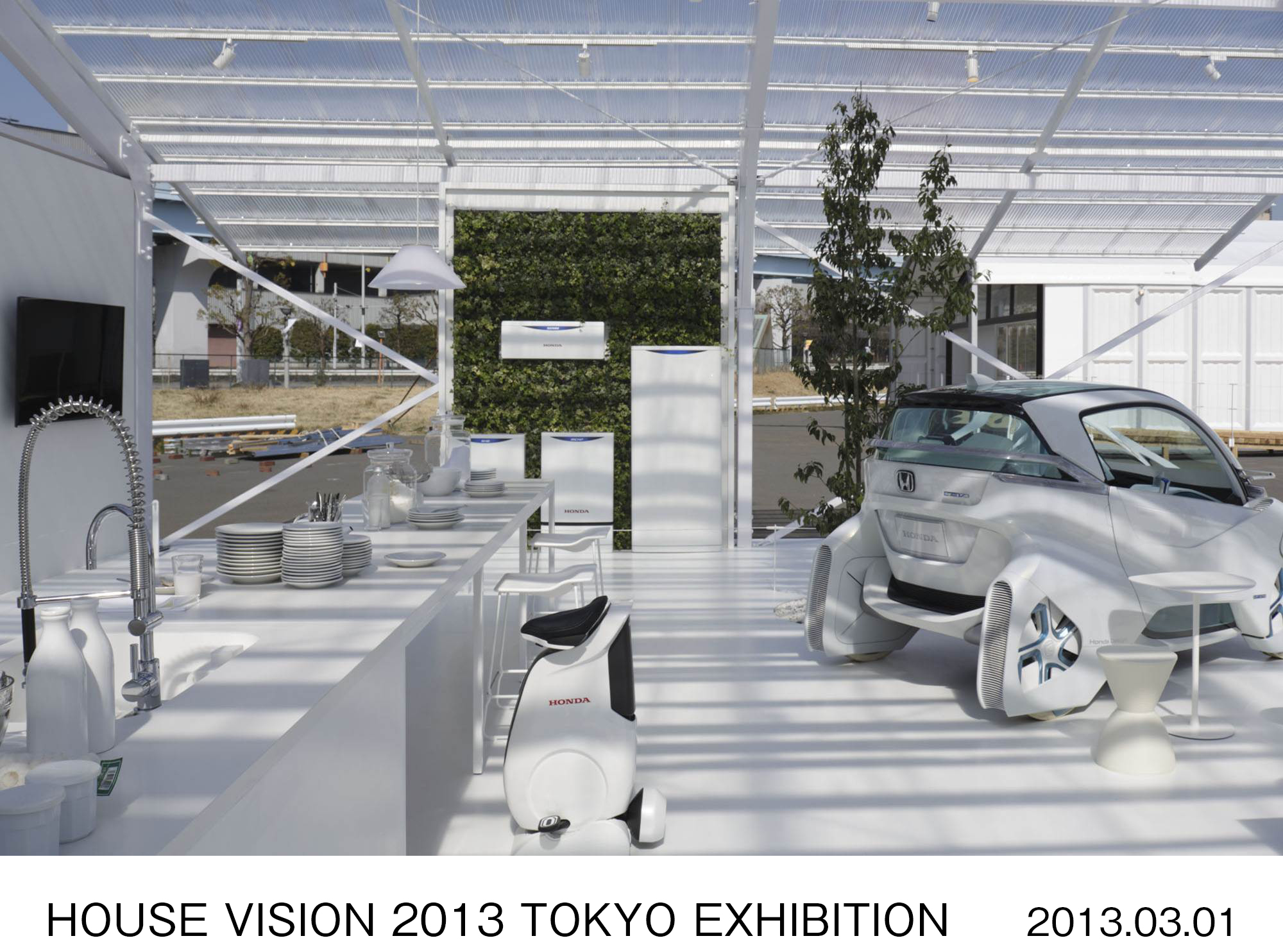 画像・動画ダウンロード