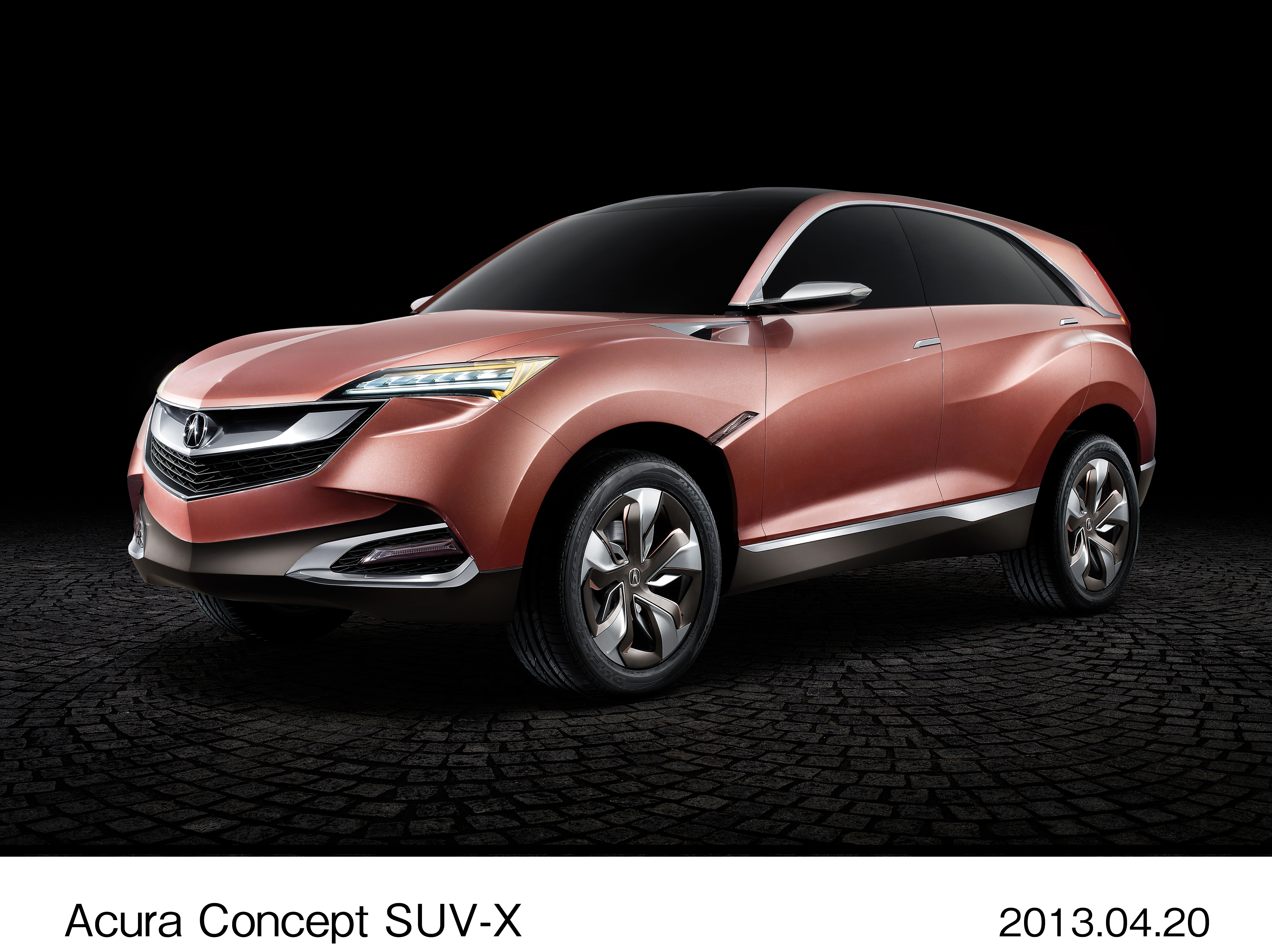 画像・動画ダウンロード