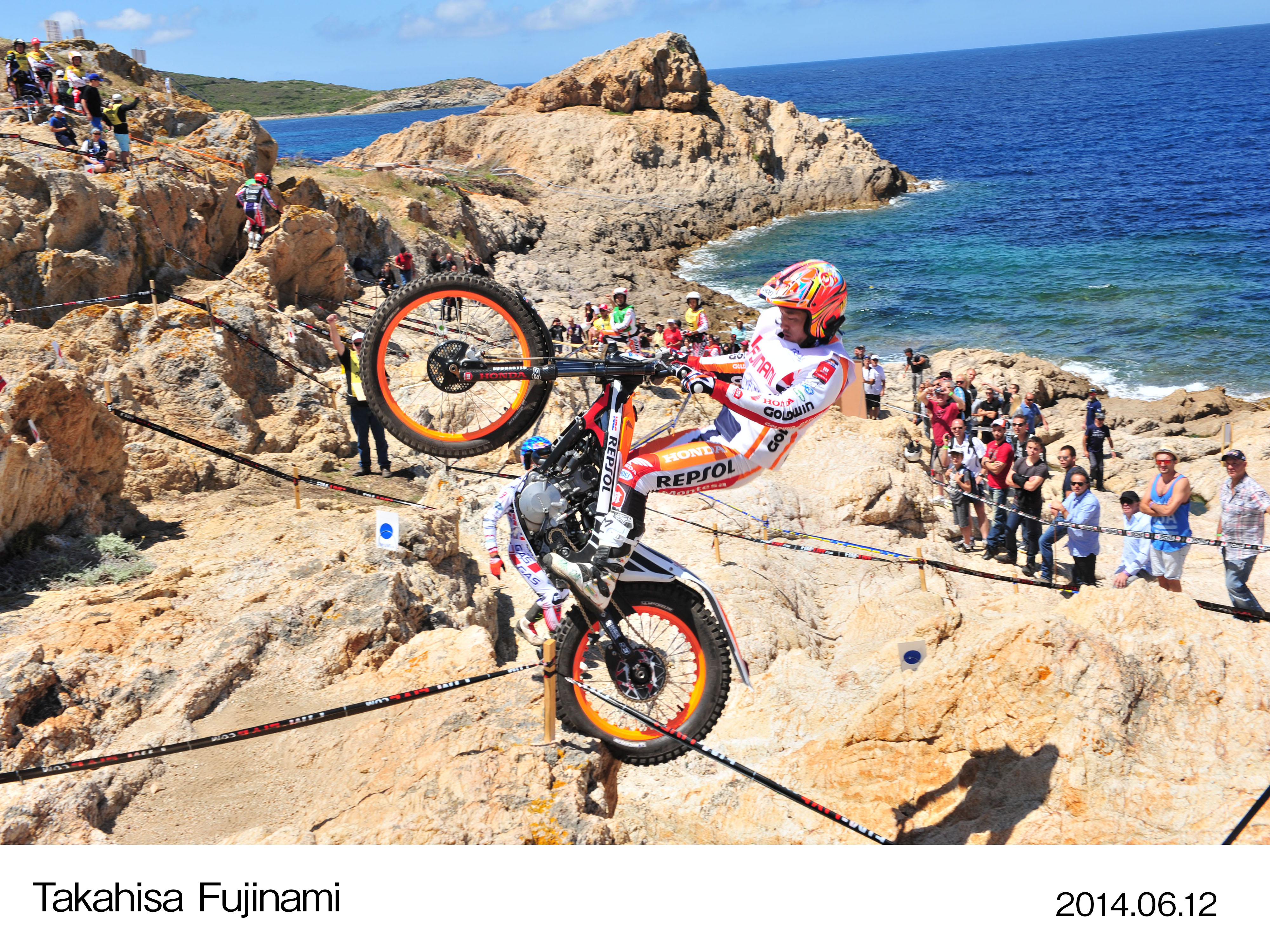 画像・動画ダウンロード