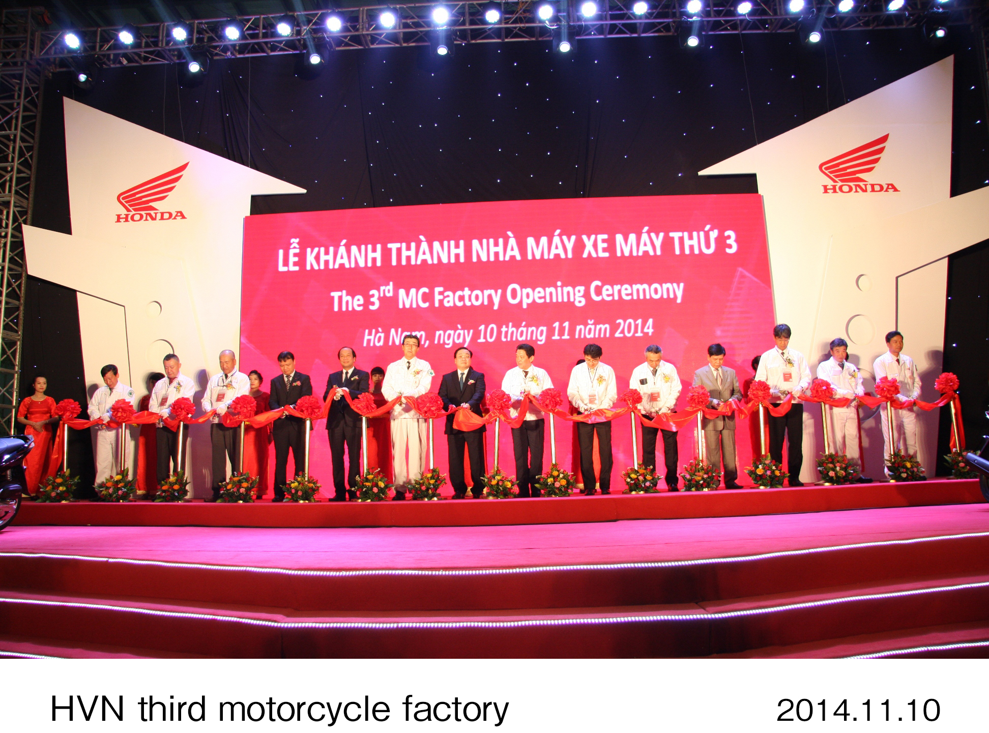 画像・動画ダウンロード