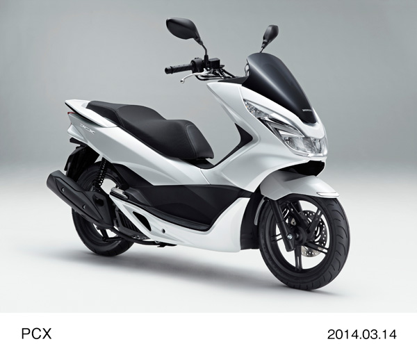 画像・動画ダウンロード