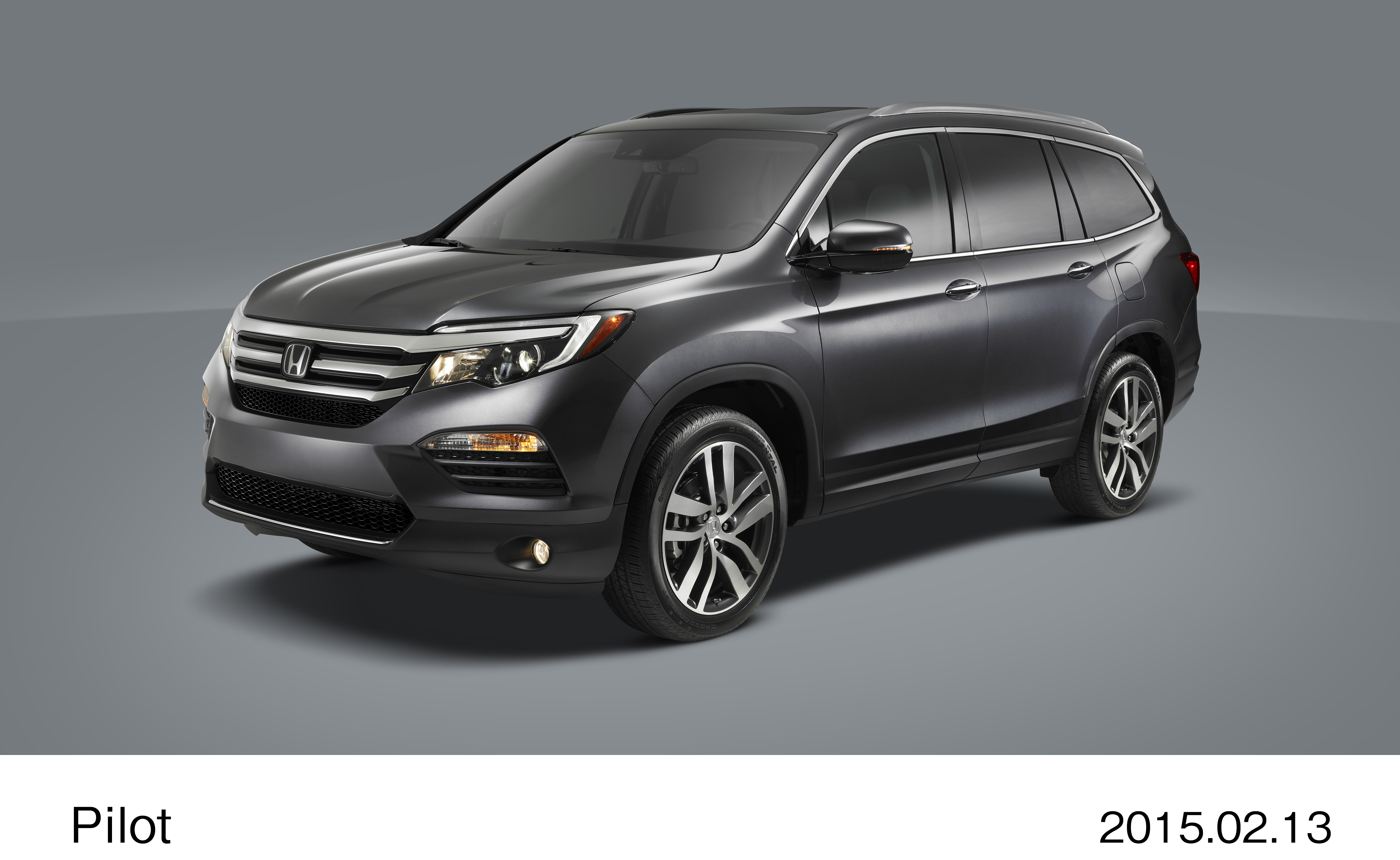 画像・動画ダウンロード