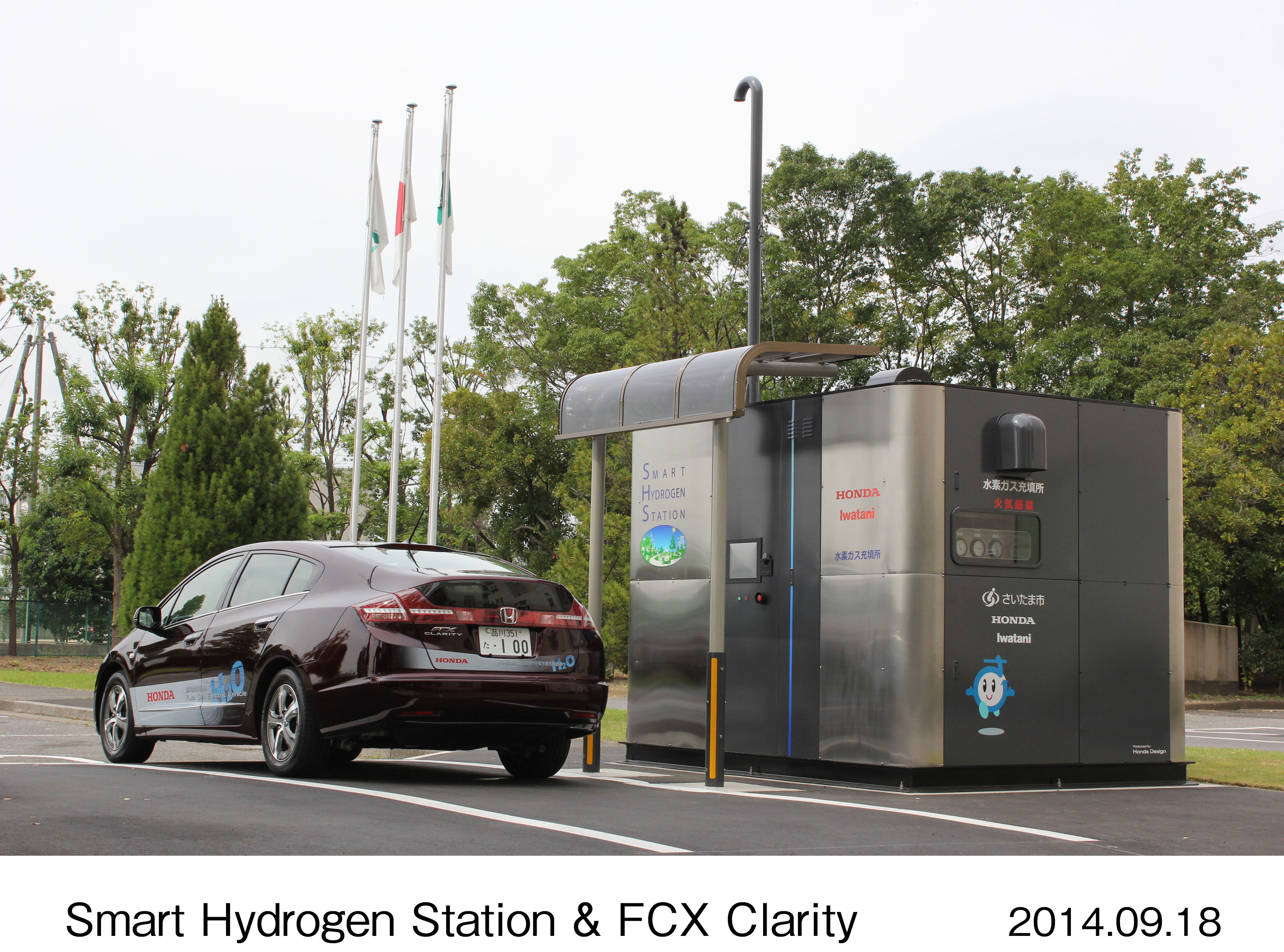 画像・動画ダウンロード