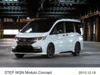 STEP WGN Modulo Concept