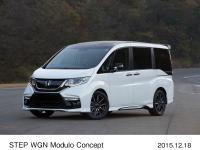 STEP WGN Modulo Concept