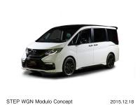 STEP WGN Modulo Concept