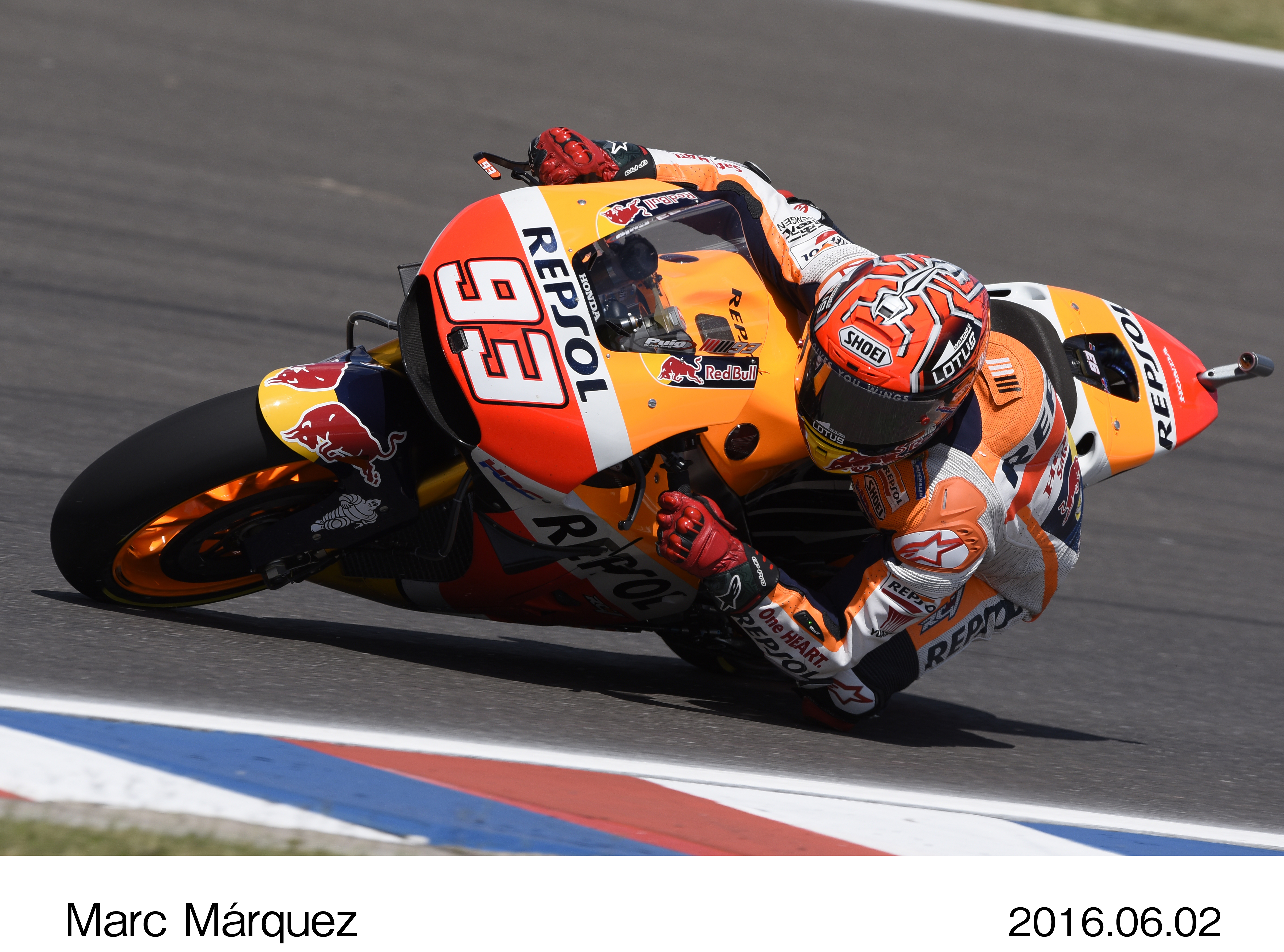 画像・動画ダウンロード