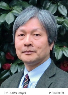 画像・動画ダウンロード