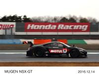 MUGEN NSX-GT