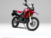 CRF250 RALLY