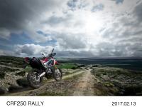 CRF250 RALLY