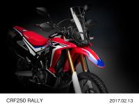 CRF250 RALLY フロント回り