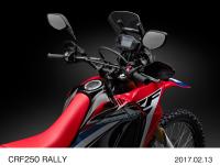 CRF250 RALLY メーター回り