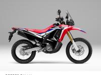 CRF250 RALLY (市販車)