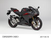 CBR250RR＜ABS＞ (マットガンパウダーブラックメタリック)