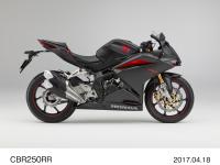 CBR250RR (マットガンパウダーブラックメタリック)