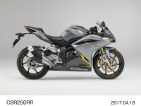 CBR250RR (ソードシルバーメタリック)