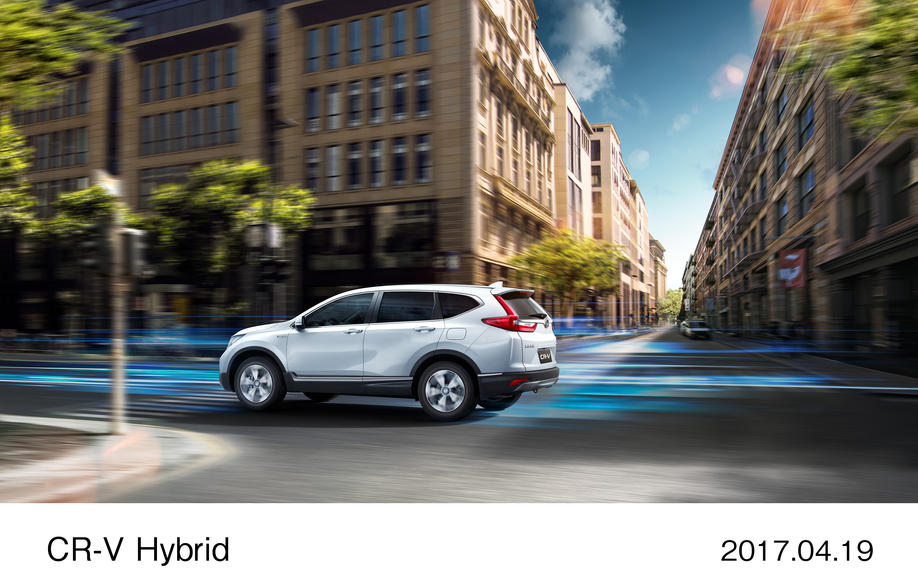 画像・動画ダウンロード