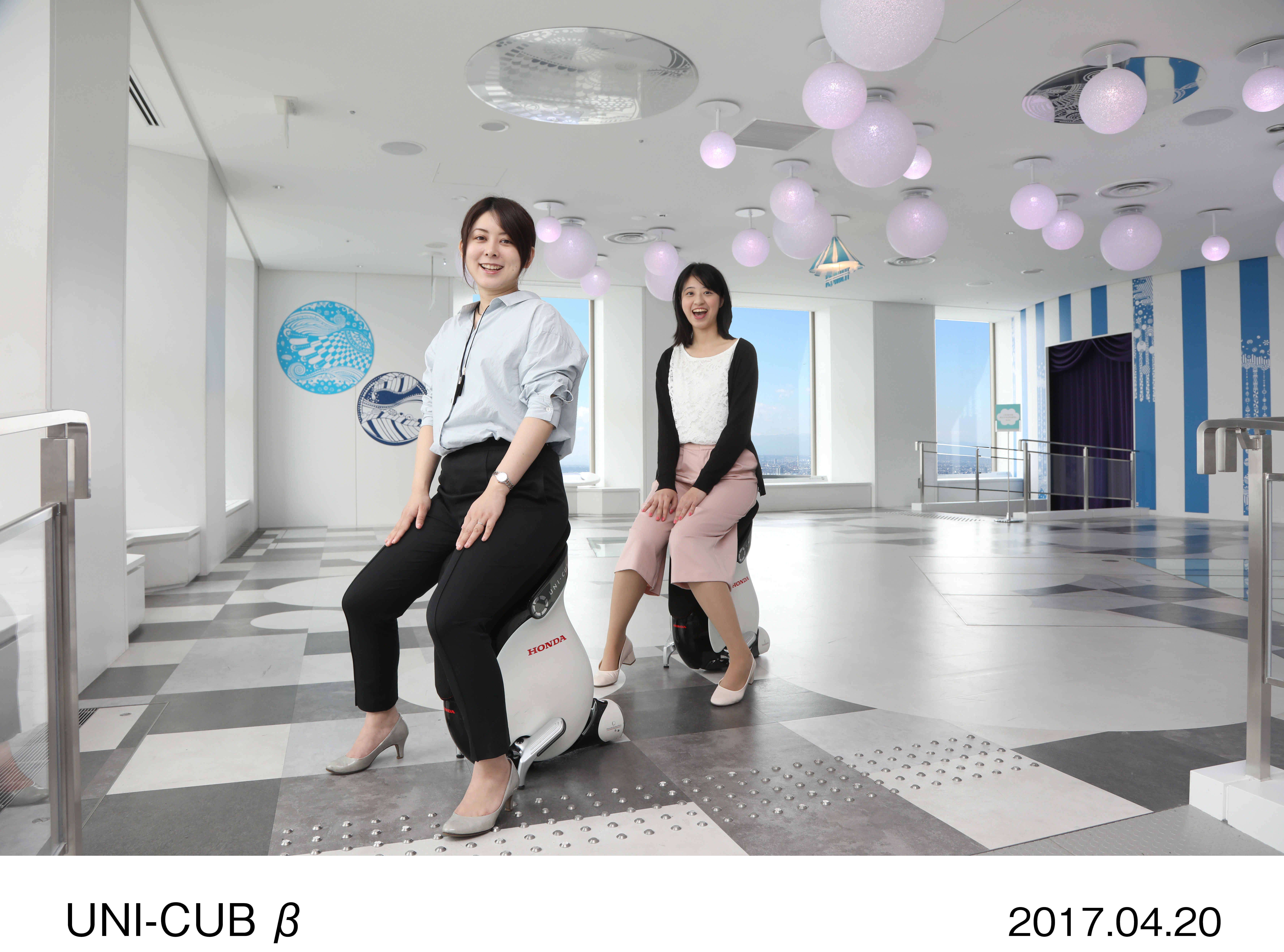 画像・動画ダウンロード