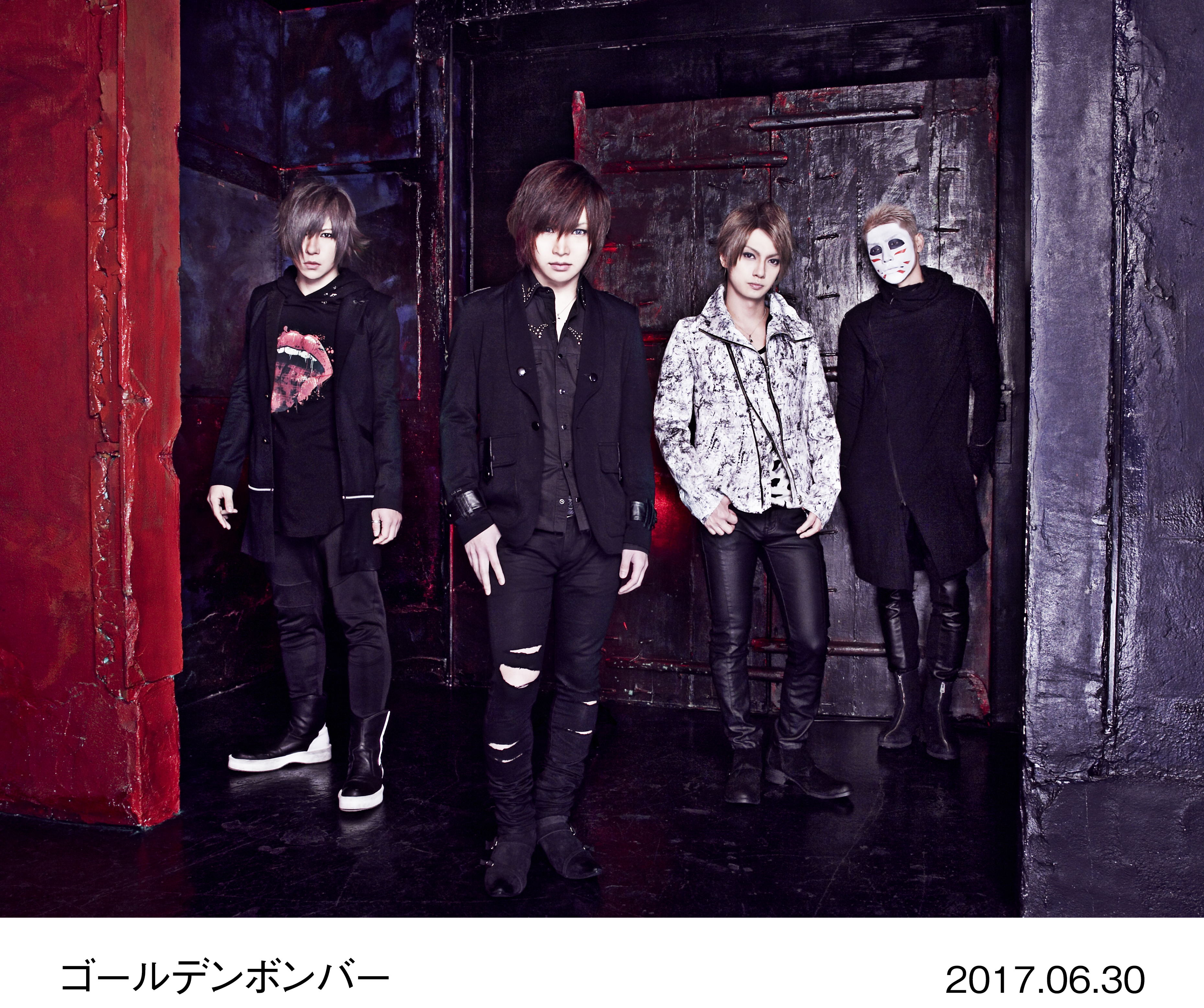 画像・動画ダウンロード