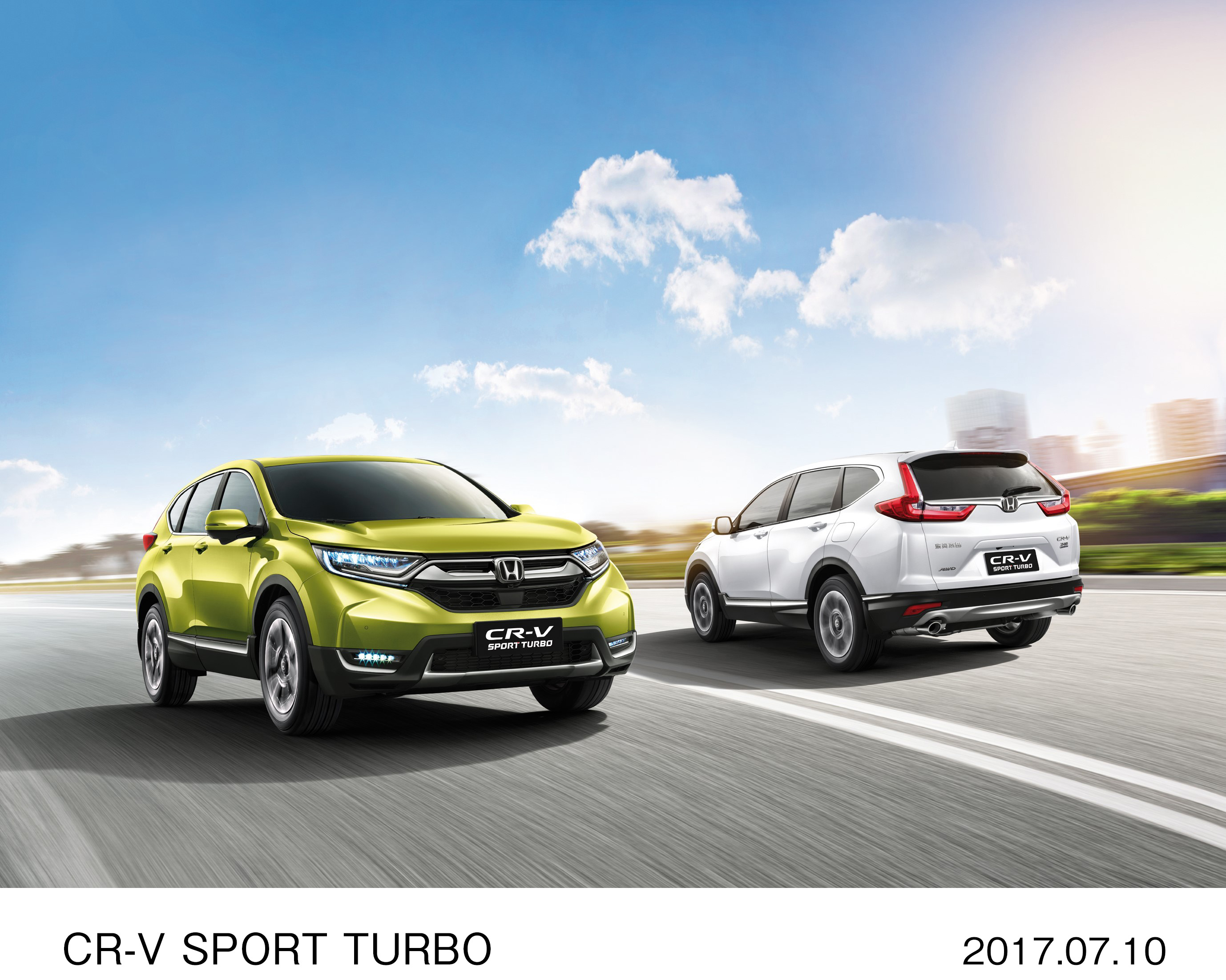 画像・動画ダウンロード