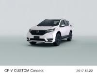 CR-V CUSTOM Concept