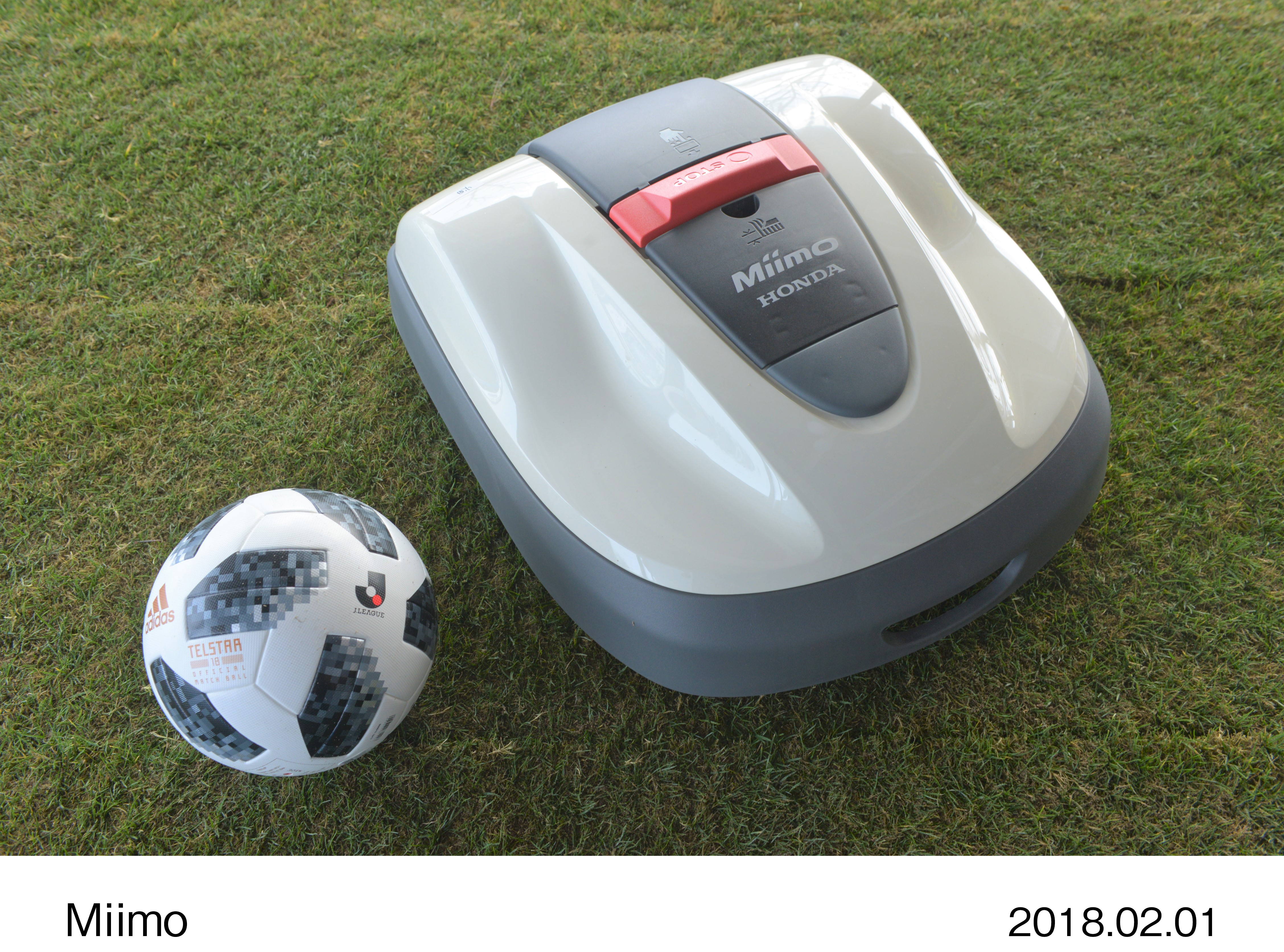 画像・動画ダウンロード