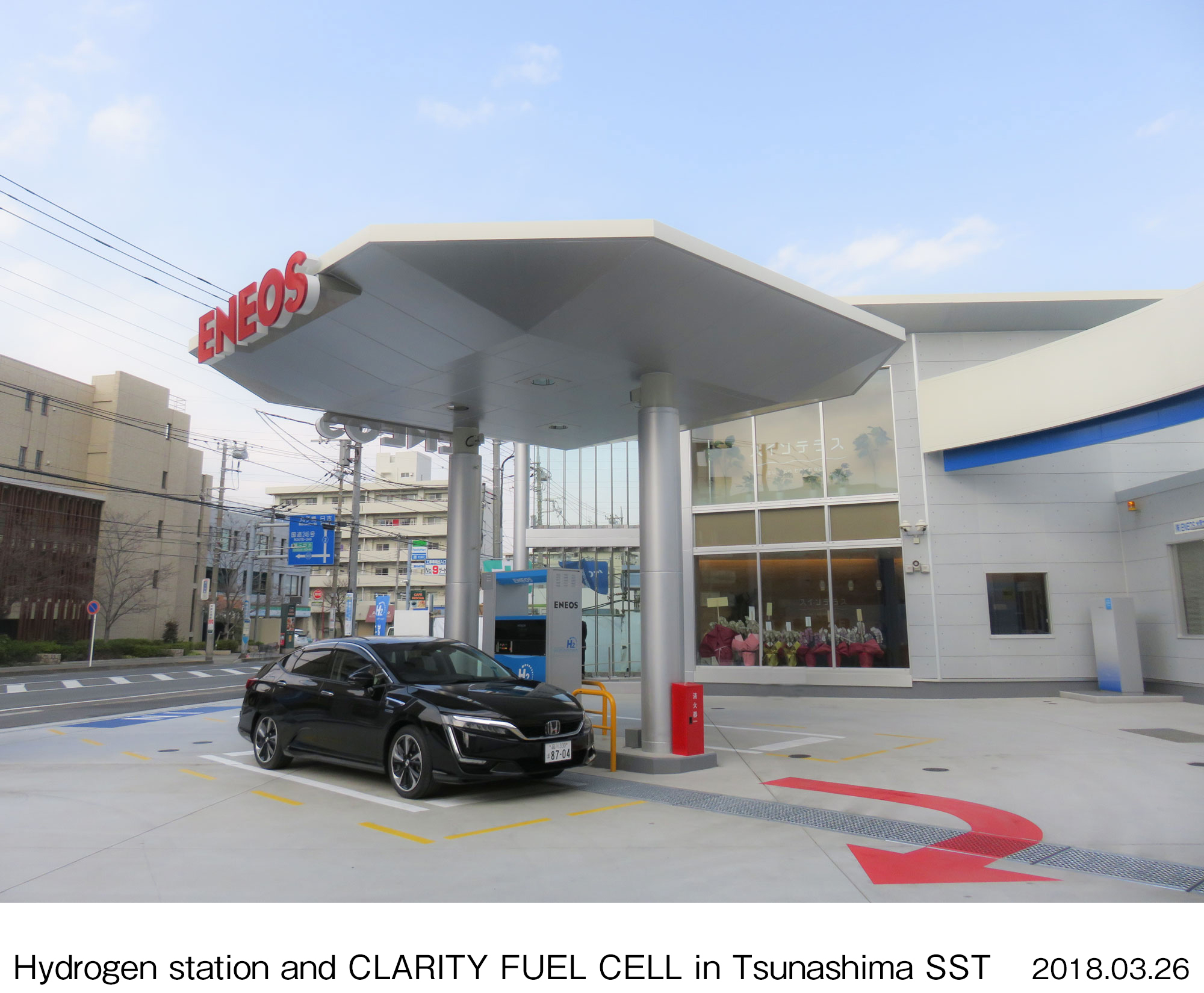 画像・動画ダウンロード