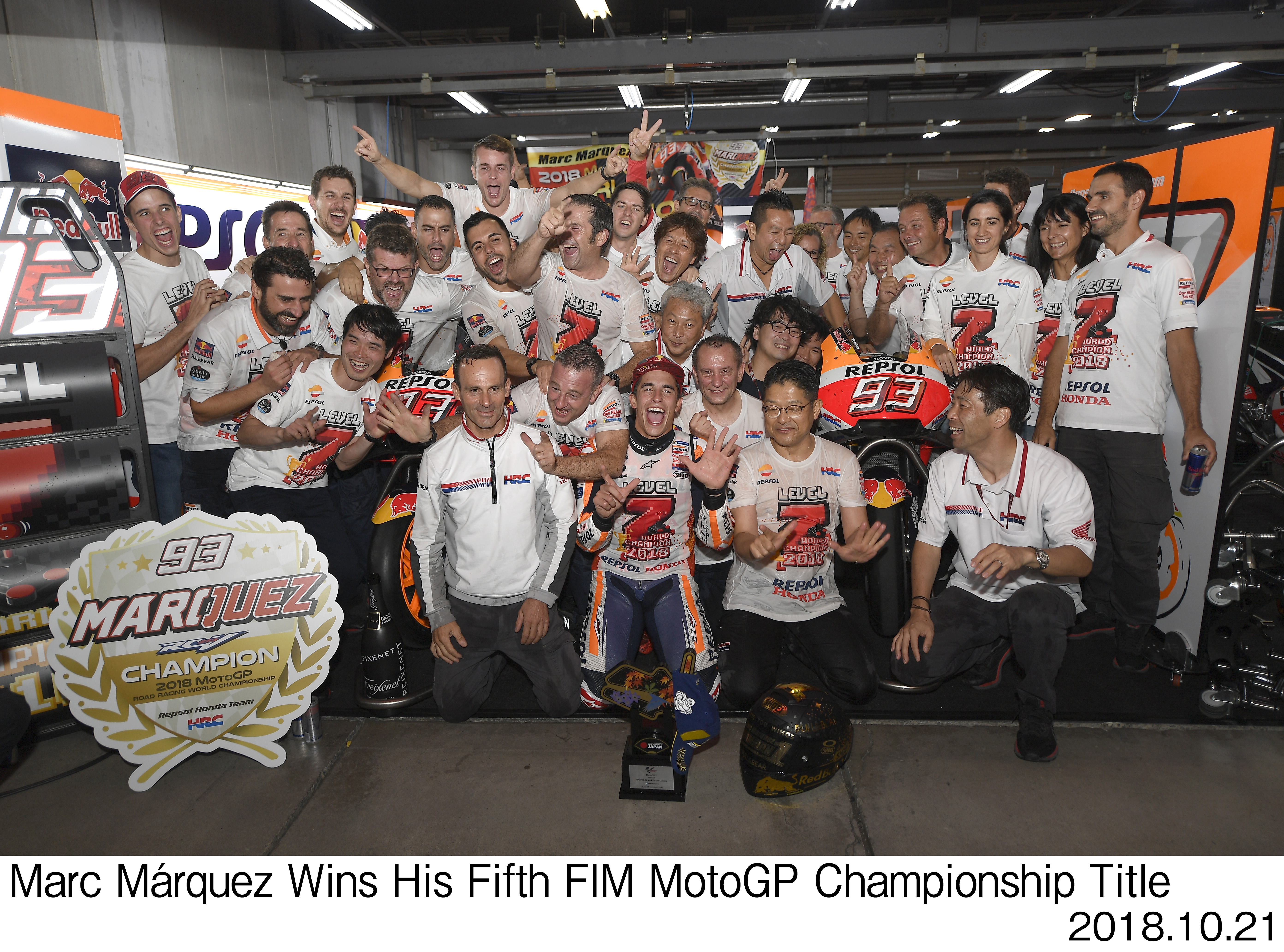 画像・動画ダウンロード