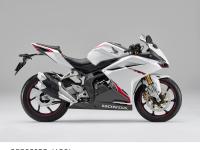 CBR250RR＜ABS＞ パールグレアホワイト