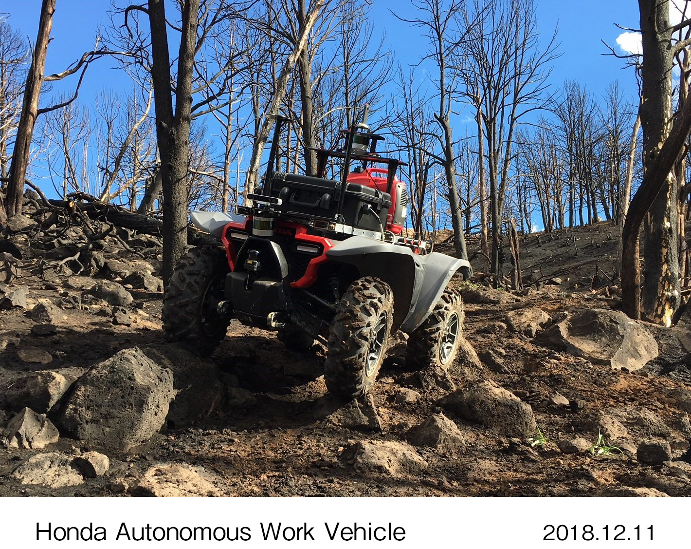 画像・動画ダウンロード