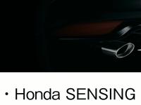 エキパイフィニッシャーイメージ（左右2本出し）