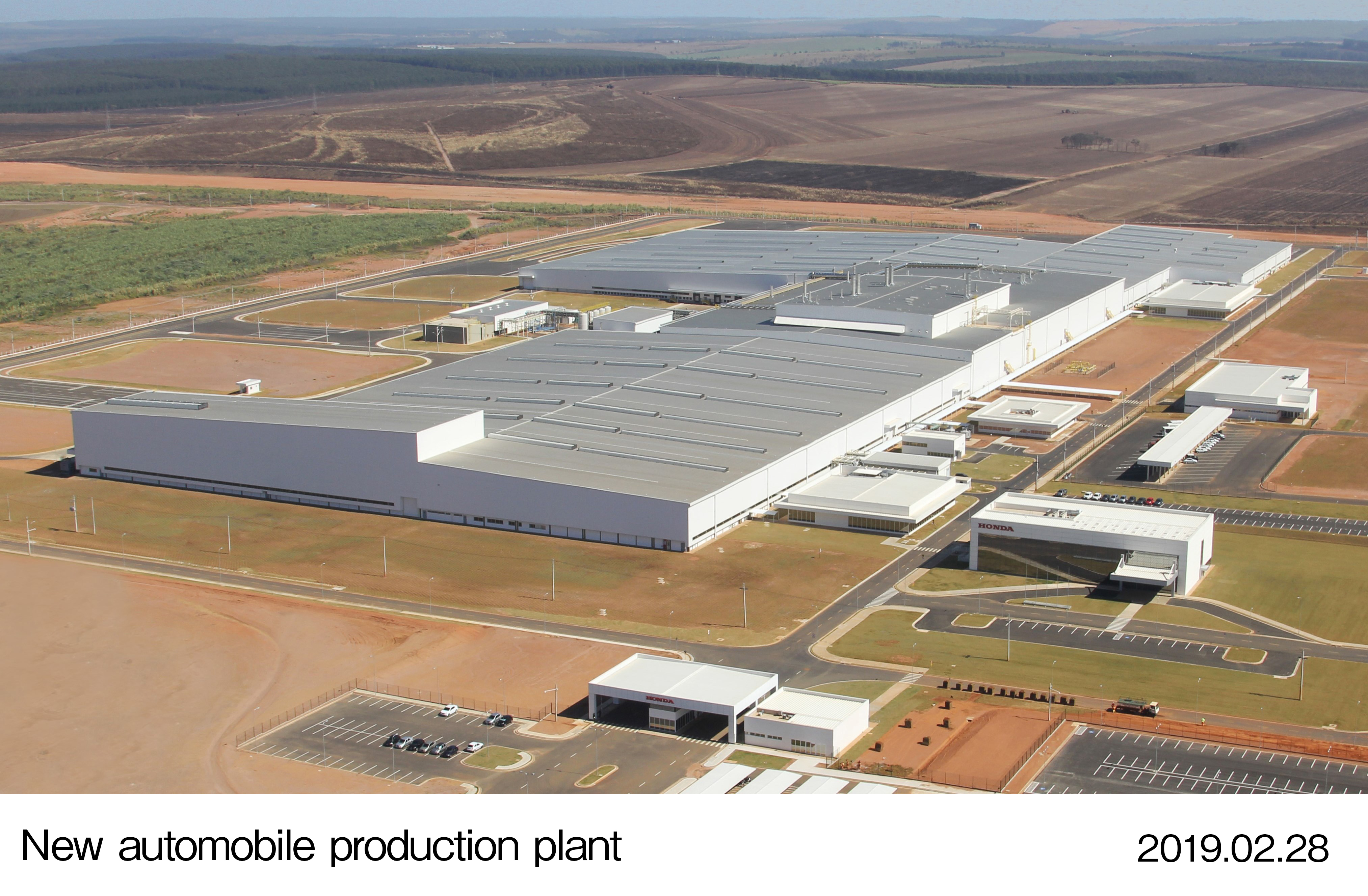 画像・動画ダウンロード