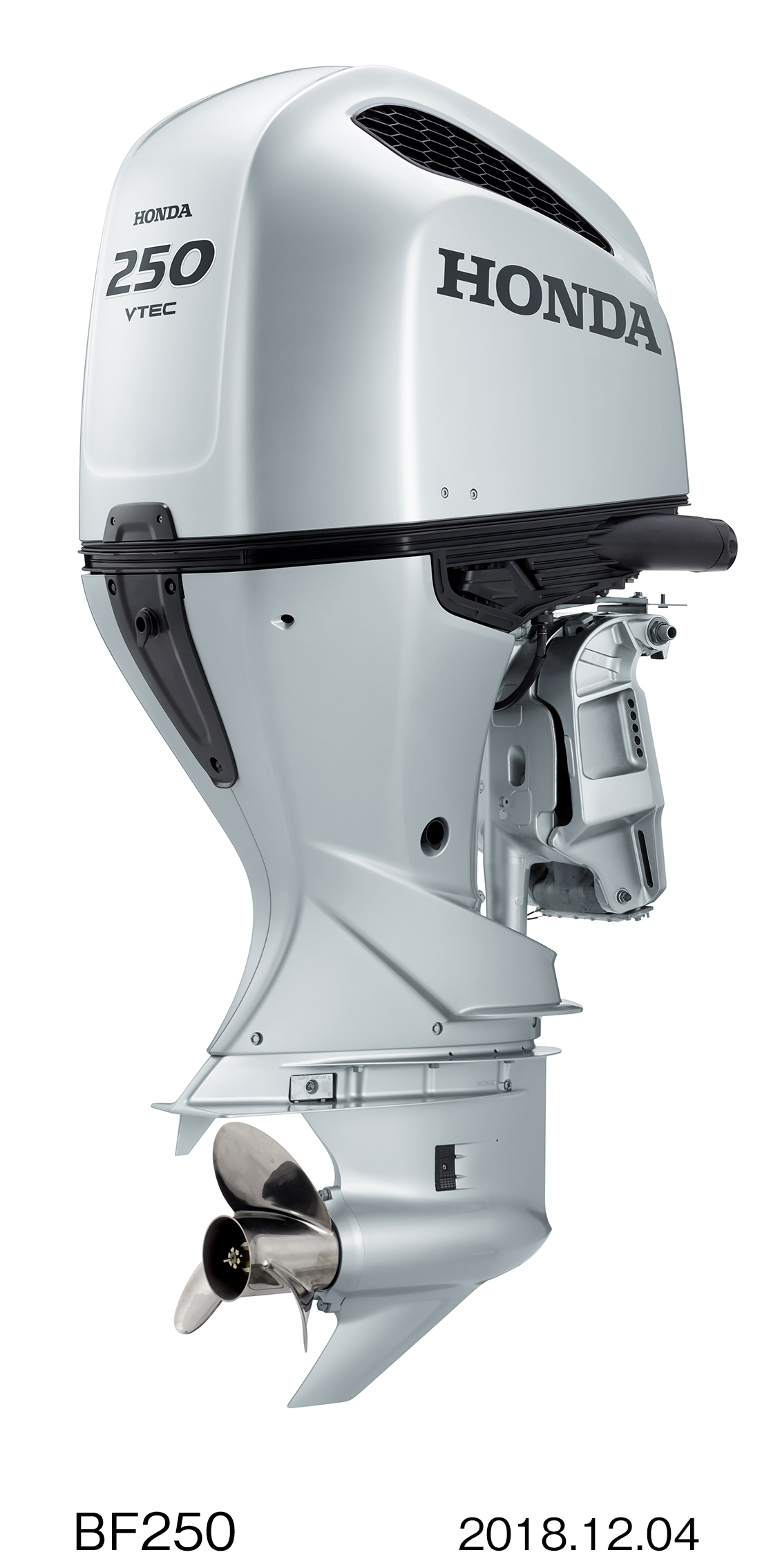 画像・動画ダウンロード