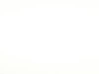 プラチナホワイト・パール