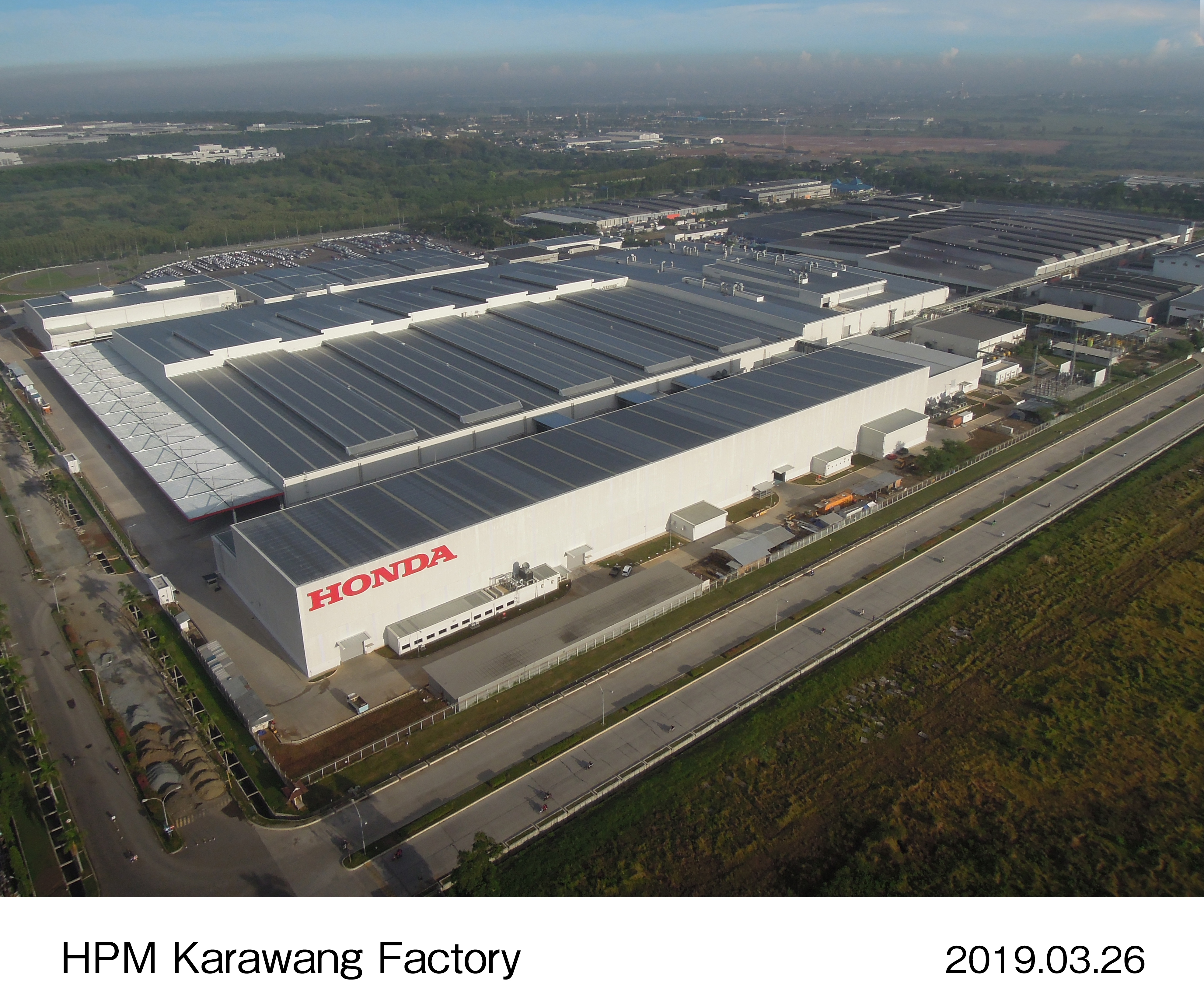 画像・動画ダウンロード